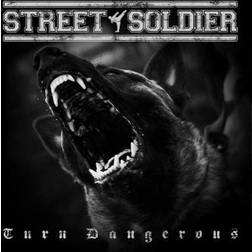 Street Soldier: Turn Dangerous (PC)