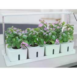 LEDlife hydroponisk plantebakke Minidrivhus