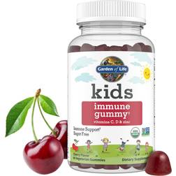 Garden of Life Kids Immune Support Gummies with Vitamin C, D as D3 Zinc