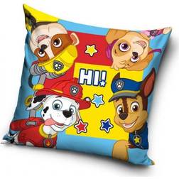 Paw Patrol Hi - 40x40cm