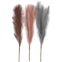 Creativ Company Pampas grass, L: