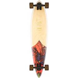 Arbor Fish Groundswell Longboard 37"