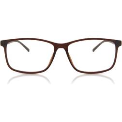SmartBuy Collection Arnoldclavs CP130C 55mm Briller Mænd Brun