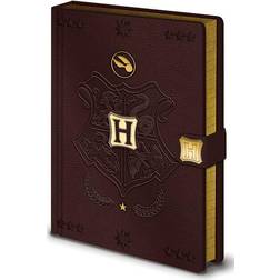 Harry Potter Premium Anteckningsblock A5 Quidditch