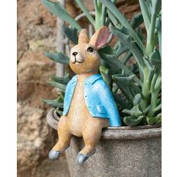 Beatrix Potter Rabbit Sitting Plant