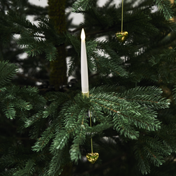 Nordic Winter 780-088 Gold/White Julgransbelysning 20 Lampor 20st