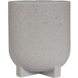 DBKD Plus Kruka Mole Dot