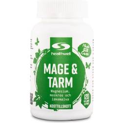 Healthwell Mave & Tarm, 120 kapsler 120 stk