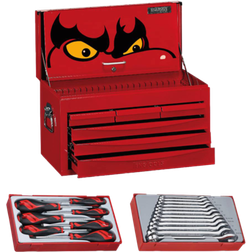 Teng Tools Työkalusarja TC820SV