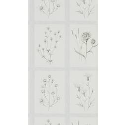 Sanderson Tapet Little Thistles Grey/Blue