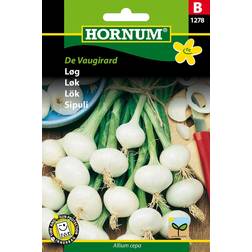 Hornum Løg Frø, De Vaugirard