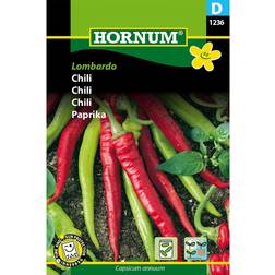 Hornum Chili 'Lombardo', frö