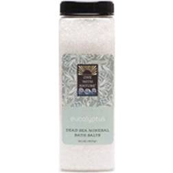 One With Nature Dead Sea Mineral Salts Eucalyptus