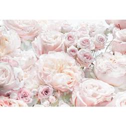 Komar Fototapete Spring Roses 368 x 254 cm
