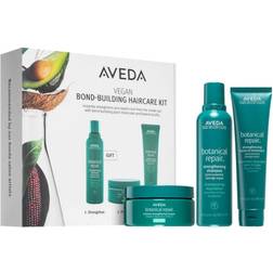 Aveda Botanical Repair Bond Building Haircare Kit