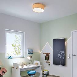 Paulmann Mari Ceiling Flush Light