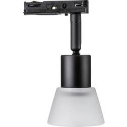 Global Cup 1F Spotlight