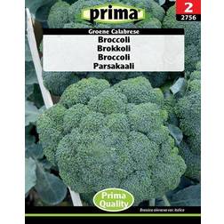 Broccoli Groene Calabrese frø