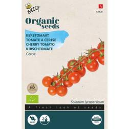 Buzzy® Økologiske frø Cherrytomat Cerise Grøntsagsfrø