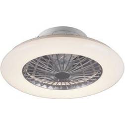 Trio Lighting RL Ceiling Lamp RL