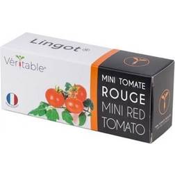 Veritable Lingot Red Mini Tomato Plantesæt