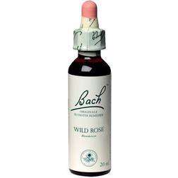 Bach Hunderose Wild Rose - 20