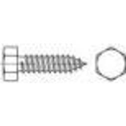 Toolcraft Vis À Tôle Hexagonales 4.2 mm 13 mm 6 Pans DIN 7976 Acier Inoxydable A2 1000 pcs