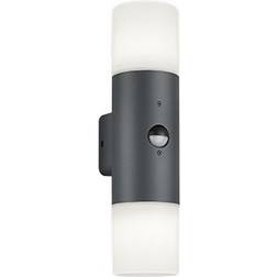 Trio Lighting Leuchten Hoosic 222260242 yttervägglampa Väggarmatur