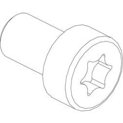 CUBIC Cylinderskrue torx 3101-0816