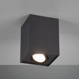 Trio Lighting Biscuit ceiling Loftplafond