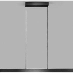 LIGHT-POINT EDGE LINEAR S1000 CARBON BLACK Pendel