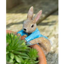 Beatrix Potter Rabbit Climbing Plant