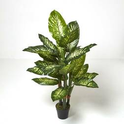 Homescapes Dieffenbachia Dumb Cane Plant