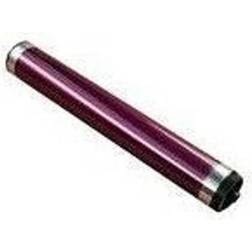 Toshiba Od-fc34m Drum Magenta