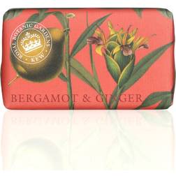 Botanical Gardens, Kew Bergamot & Ginger Shea Butter Soap, 240g