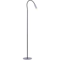 Paul Neuhaus PURE-GEMIN aluminium Golvlampa