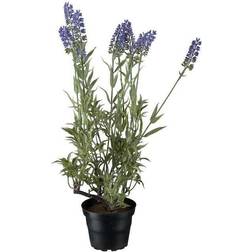 Lavendel Kunstig plante