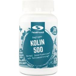 Healthwell Cholin 500, 120 kapsler