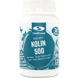 Healthwell Choline 500 120 st