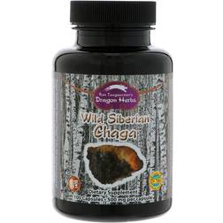 Dragon Herbs, Wild Siberian Chaga, 500 mg, 100