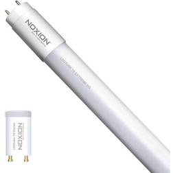 Noxion Avant Fluorescent Lamps 17.5W G13