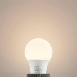 Arcchio LED bulb E27 A60 4.9 W 3,000 K opal