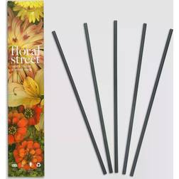 Floral Street Vanilla Bloom Scented Reeds, x 5