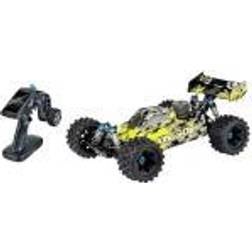 Carson RC Sport King of Dirt Buggy V25 GP 1:8 RC model car Nitro Buggy RtR 2,4 GHz