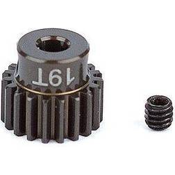 Team Associated AE1337 19T Alu Motortandhjul i 48 Pitch 3mm Aksel