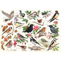 The House of Puzzles House Of Puzzles Birds In My Garden 1000 Piece Jigsaw Puzzle