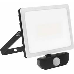 Malmbergs Ignis LED Valonheitin 50W