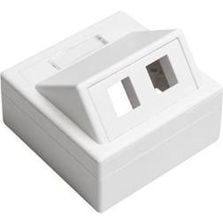Leviton Vægboks 2 X