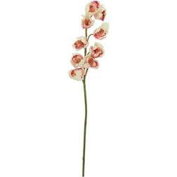 Europalms Cymbidium Stikling. Cremefarvet/ Pink. 90 Künstliche Pflanzen