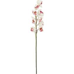 Europalms Cymbidium branch, artificial, white-pink, 90cm, Cymbidium gren Konstgjord växt